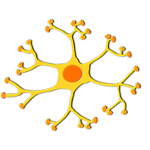 Motor Neuron