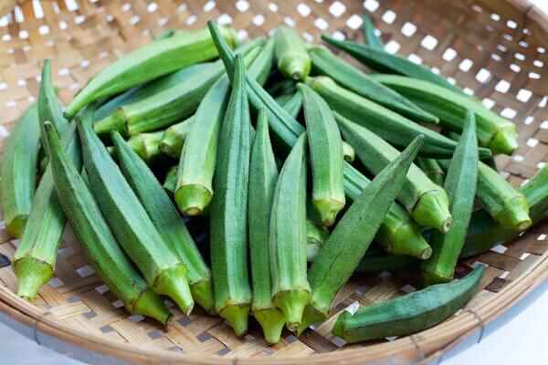 Lady Finger for kidney disease