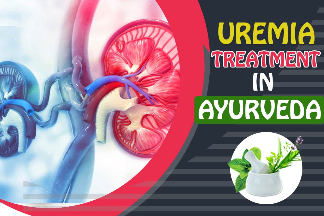 Symptoms And Treatment Of Ayurveda