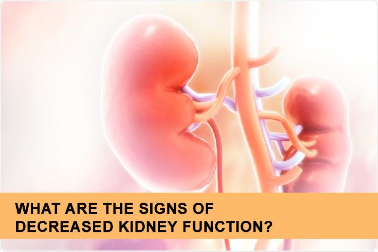 kidney-function-ckd-stages-gfr-kidney-function-test