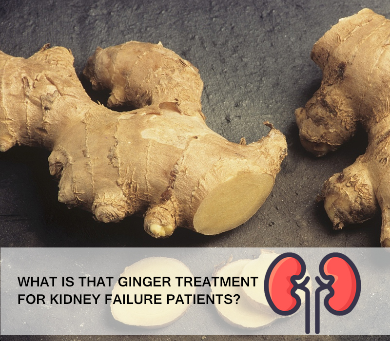 ginger-good-for-kidney-failure-patients-kidney-treatment