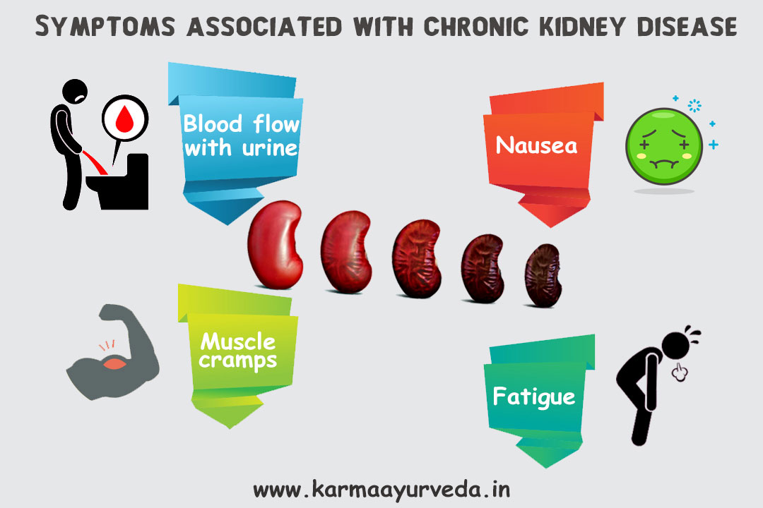 Does Vitamin D Affect Chronic Kidney Disease