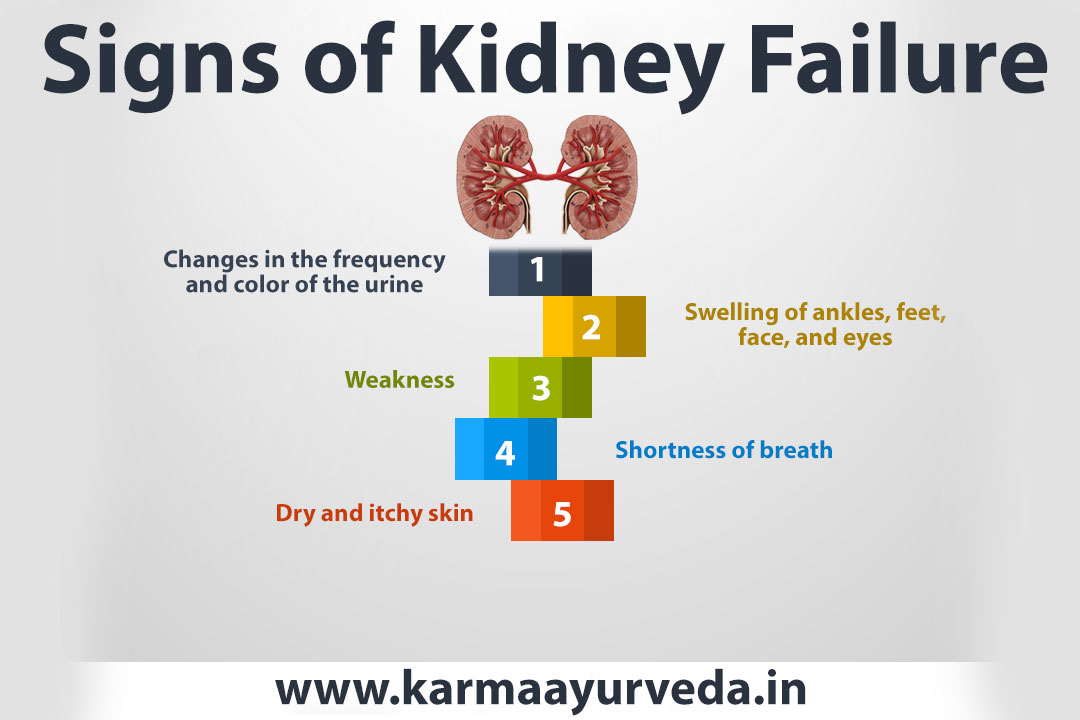 How to Check Kidney Function At Home